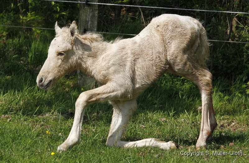Hjoerdis 1 Stunde und 14 Min alt (7).JPG
